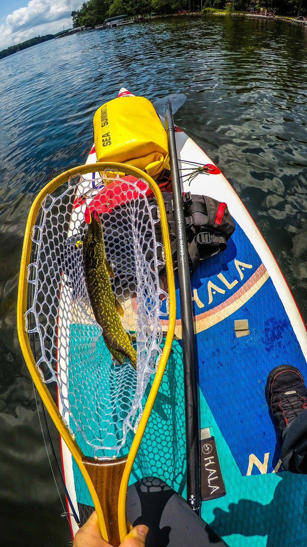 A Guide to SUP Fishing
