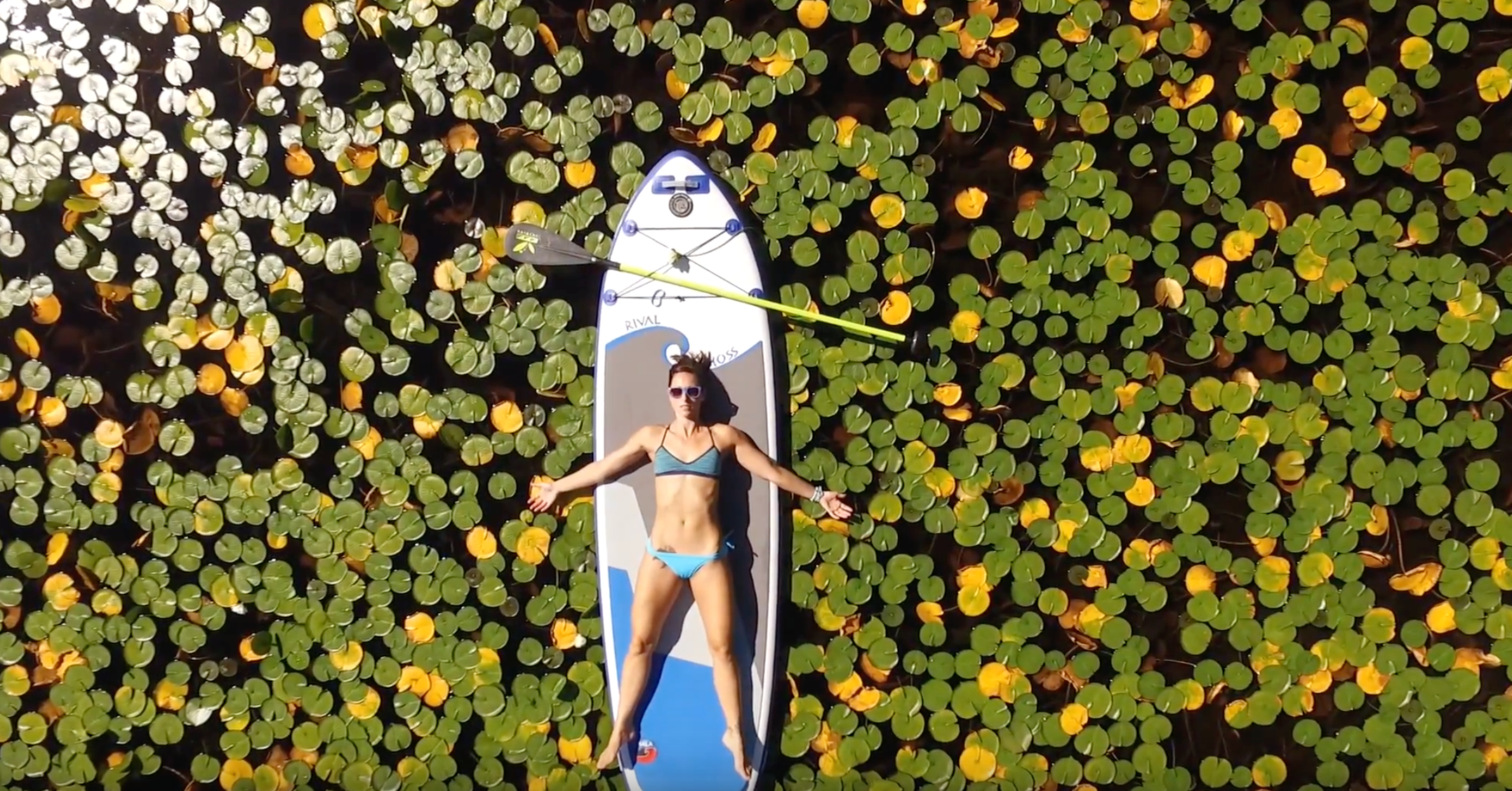 Beaver Lake with Lindsay Lambert