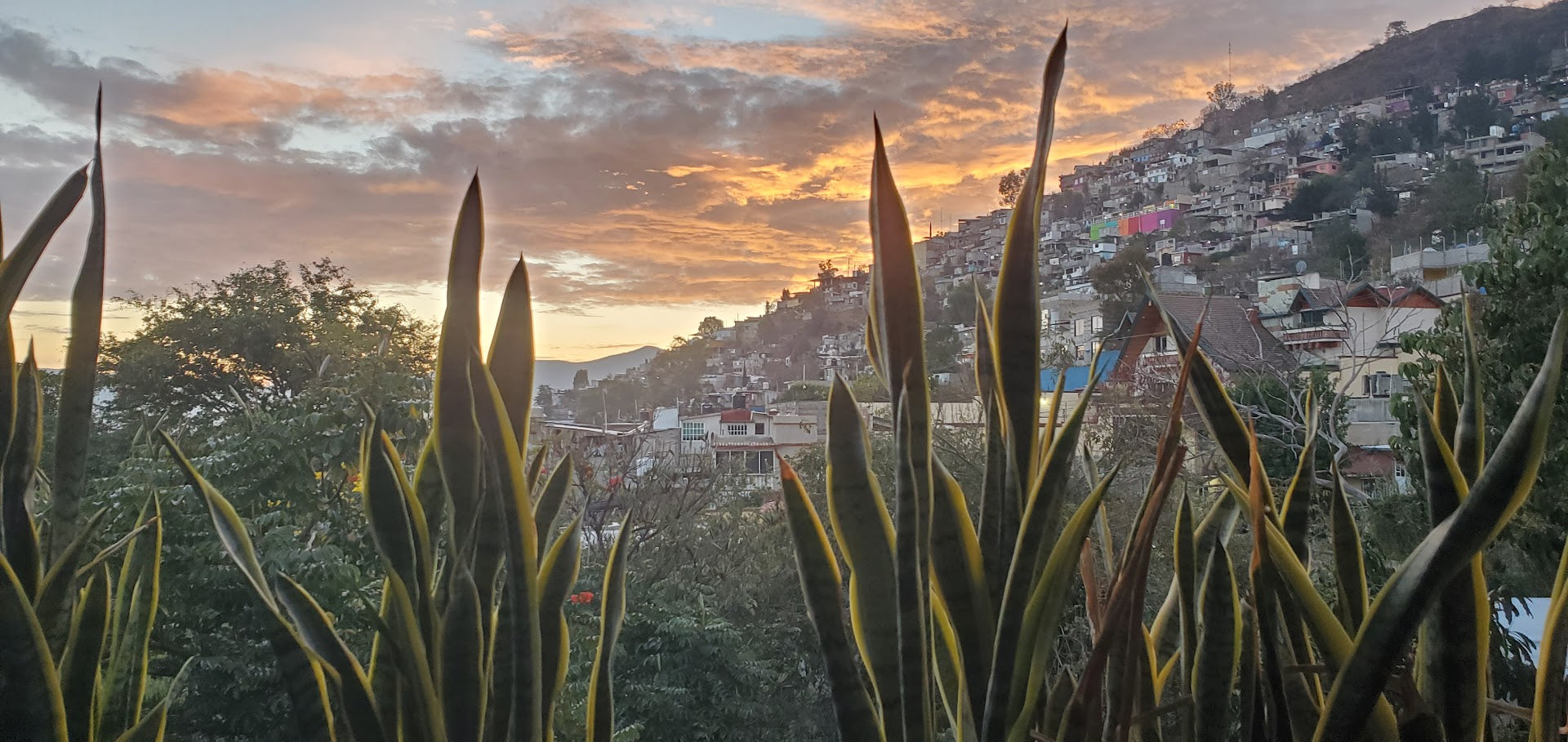 Paddles, Fins, and Accessories