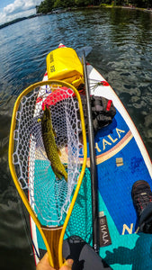 A Guide to SUP Fishing